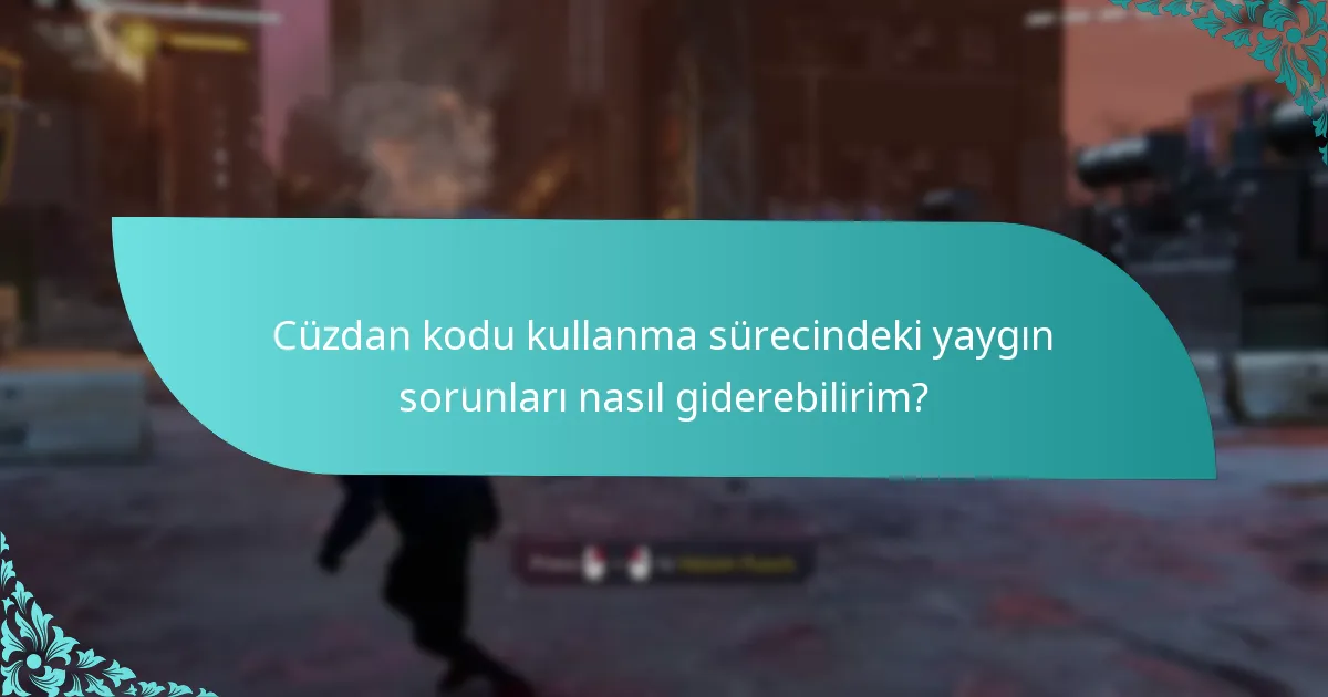 Cüzdan kodu kullanma sürecindeki yaygın sorunları nasıl giderebilirim?
